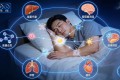 空腹睡眠的进化奇迹——肝脏、脂肪与细胞的夜间修复机制