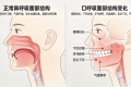 正确呼吸指南：用嘴呼吸正在悄悄毁掉你