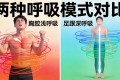 真人呼吸以踵：黄帝内经里的生命快充密码