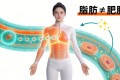 减脂期间为什么要摄入脂肪——打破”吃脂肪长脂肪”的误区