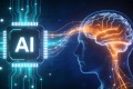 硅基时代碳基生存法：为什么你的身体是最后的战略资产