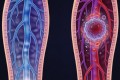 一条腿肿了另一条没事：沉默杀手的敲门声