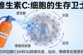 维生素C的真相：它根本不是普通维生素