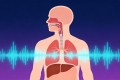 你的声音不好听，因为你一直在”用嗓子说话”——关于发声机制的硬核科普