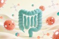 短链脂肪酸：结肠的燃料，肠道与免疫的信号分子