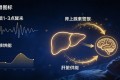 肝脏与睡眠：凌晨醒来、心跳加速的真正原因
