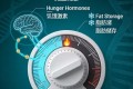 饥饿密码：为什么你越饿越胖？Jason Fung 博士的代谢重置法则