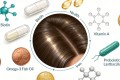 浓密有光泽头发的营养密码：生物素、铜元素与被现代农业偷走的微量元素