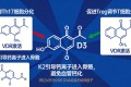 银屑病的自身免疫根源与营养治疗：硬核科学解析