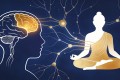 冥想是前额叶的力量训练：哈佛脑科学揭示的神经密码