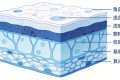 皮肤的秘密：为什么90%的人越护肤越烂脸？