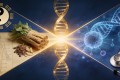 葛均波院士：中西医结合不是对立，是用循证医学验证传统智慧