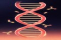 胶原三肽真相：分子量、吸收机制与科学搭配全攻略