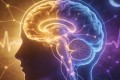 记忆反向调控睡眠：清华与智源Science重磅研究，颠覆”睡眠单向巩固记忆”百年认知