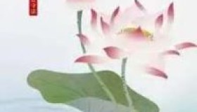 国际太极拳日，我们在行动