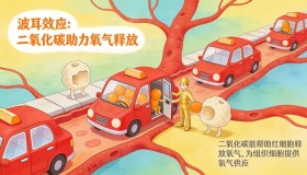 呼吸革命：你可能正在用错误的方式呼吸