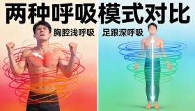 真人呼吸以踵：黄帝内经里的生命快充密码