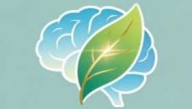 提升注意力与改善认知