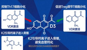 银屑病的自身免疫根源与营养治疗：硬核科学解析