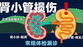 常规肾检漏了啥？肾小管危险藏着呢