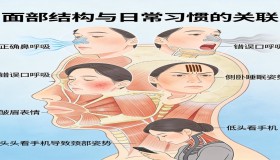 你的脸正在被日常习惯”雕刻”：面部抗衰的底层逻辑