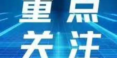 雄激素性脱发