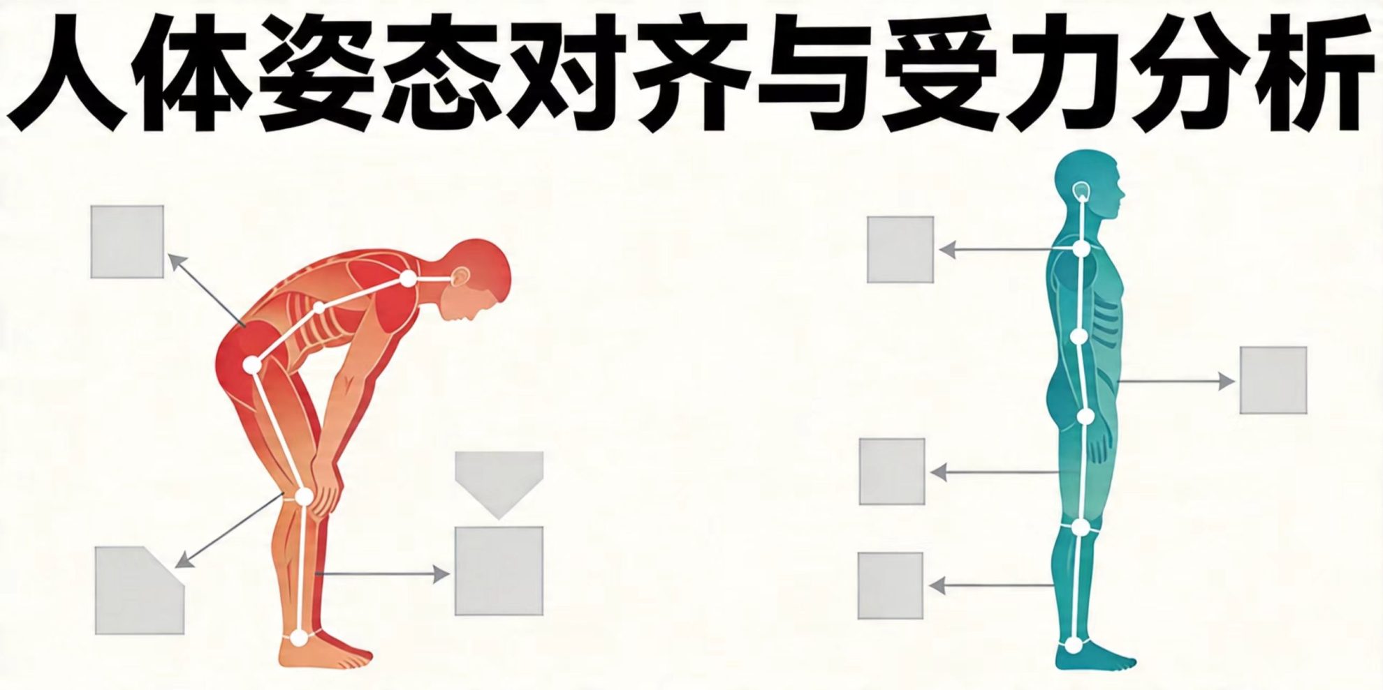 人体力线与代偿矫正:科学评估体态,预防疼痛与损伤 人体力线与代偿矫正:科学评估体态,预防疼痛与损伤