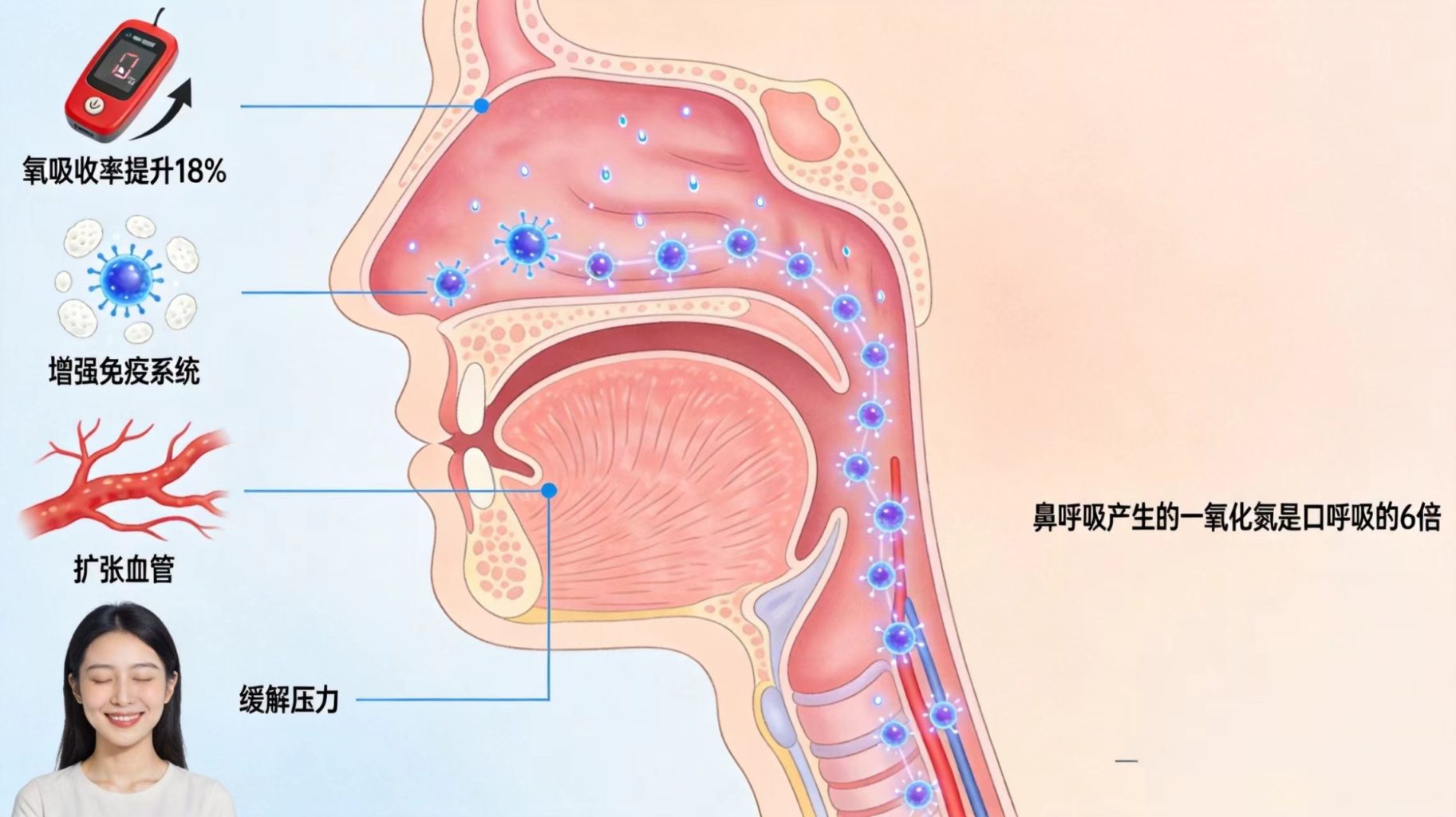正确呼吸指南：用嘴呼吸正在悄悄毁掉你