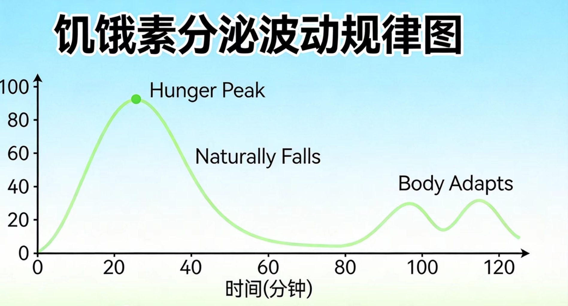 一日一餐代谢时间线:24小时禁食,身体到底在做什么? 一日一餐代谢时间线:24小时禁食,身体到底在做什么?