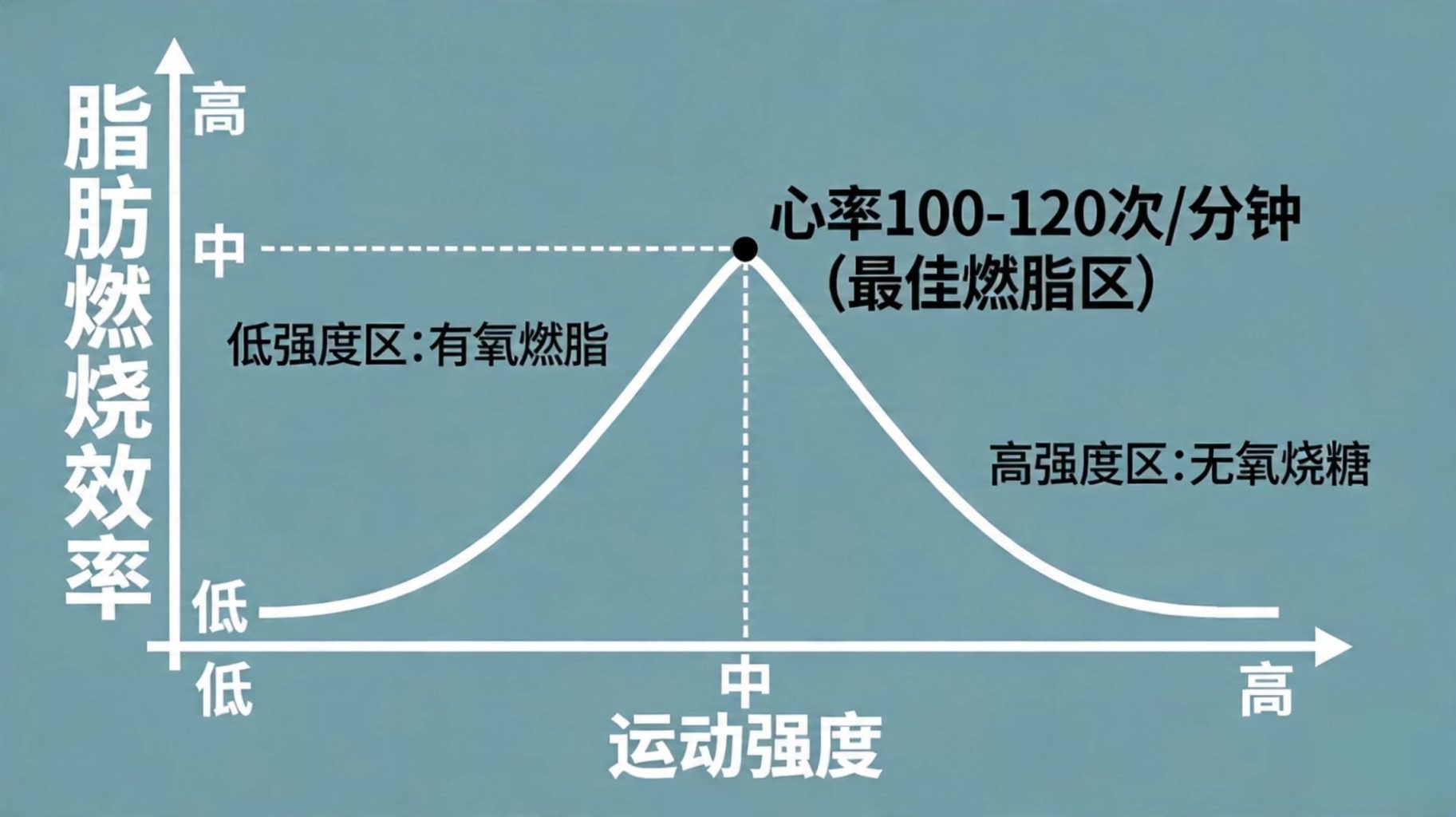 如何运动减内脏脂肪:慢跑为何比跳操更有效? 如何运动减内脏脂肪:慢跑为何比跳操更有效?