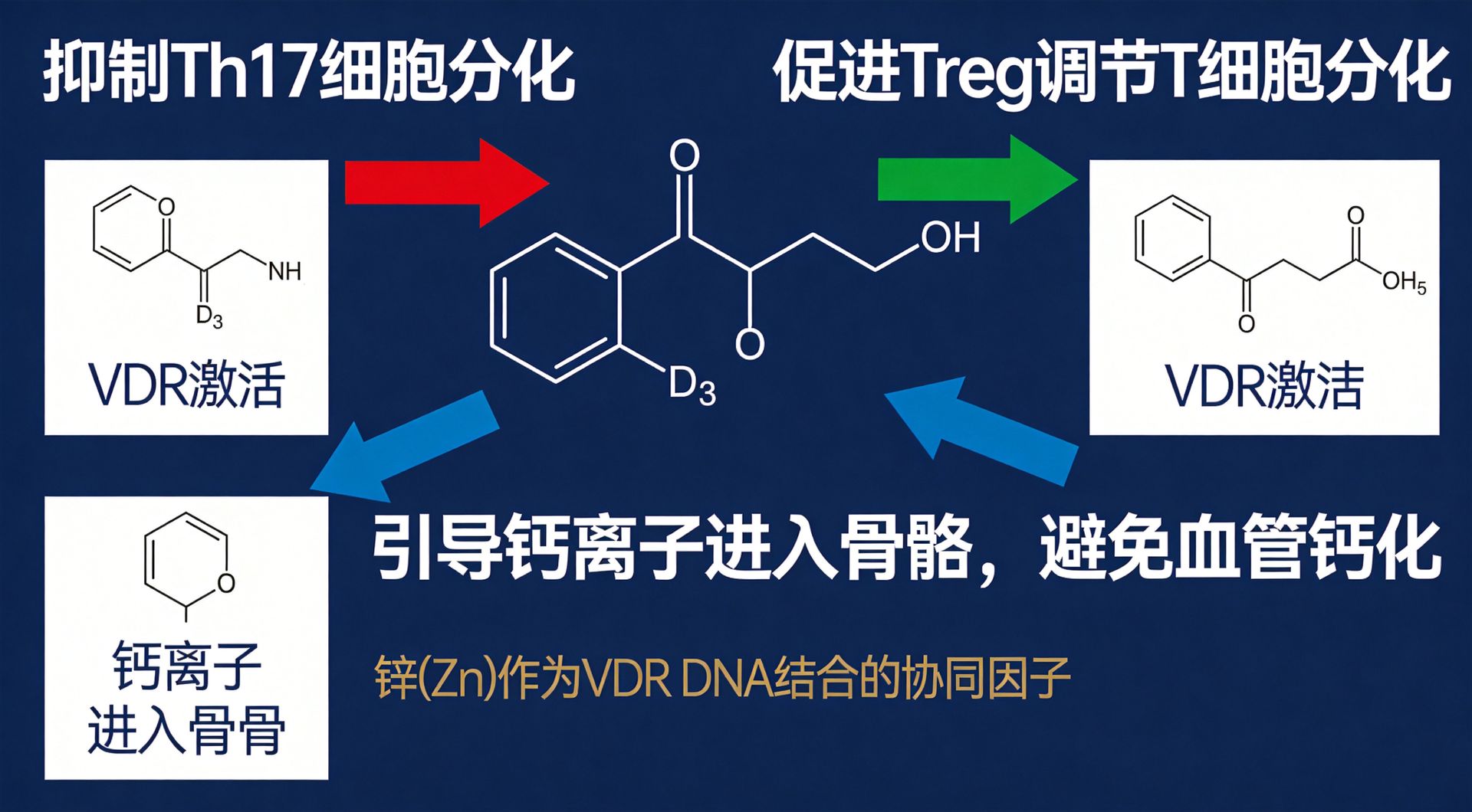 银屑病的自身免疫根源与营养治疗:硬核科学解析 银屑病的自身免疫根源与营养治疗:硬核科学解析